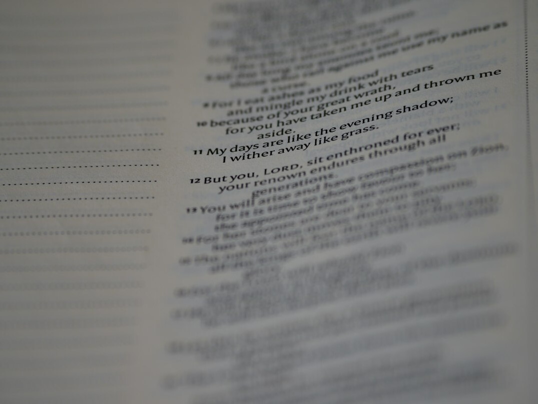actor script notes